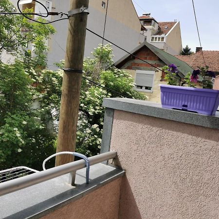 Apartmani Milica Kruševac Esterno foto
