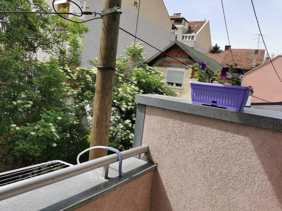 Apartmani Milica Kruševac Esterno foto